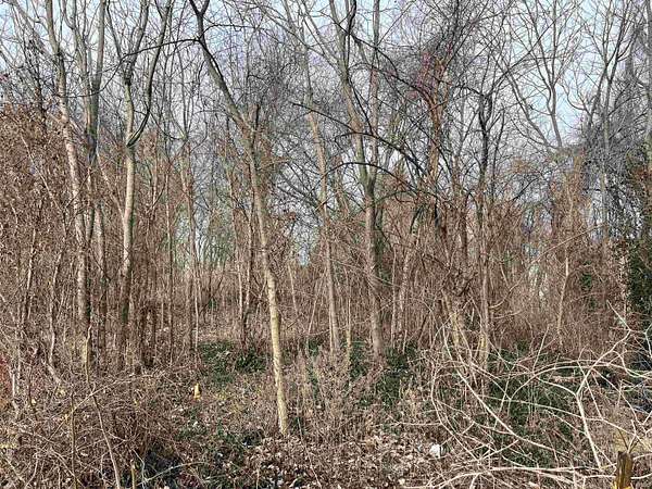 0.42 Acres of Residential Land for Sale in Vincennes, Indiana