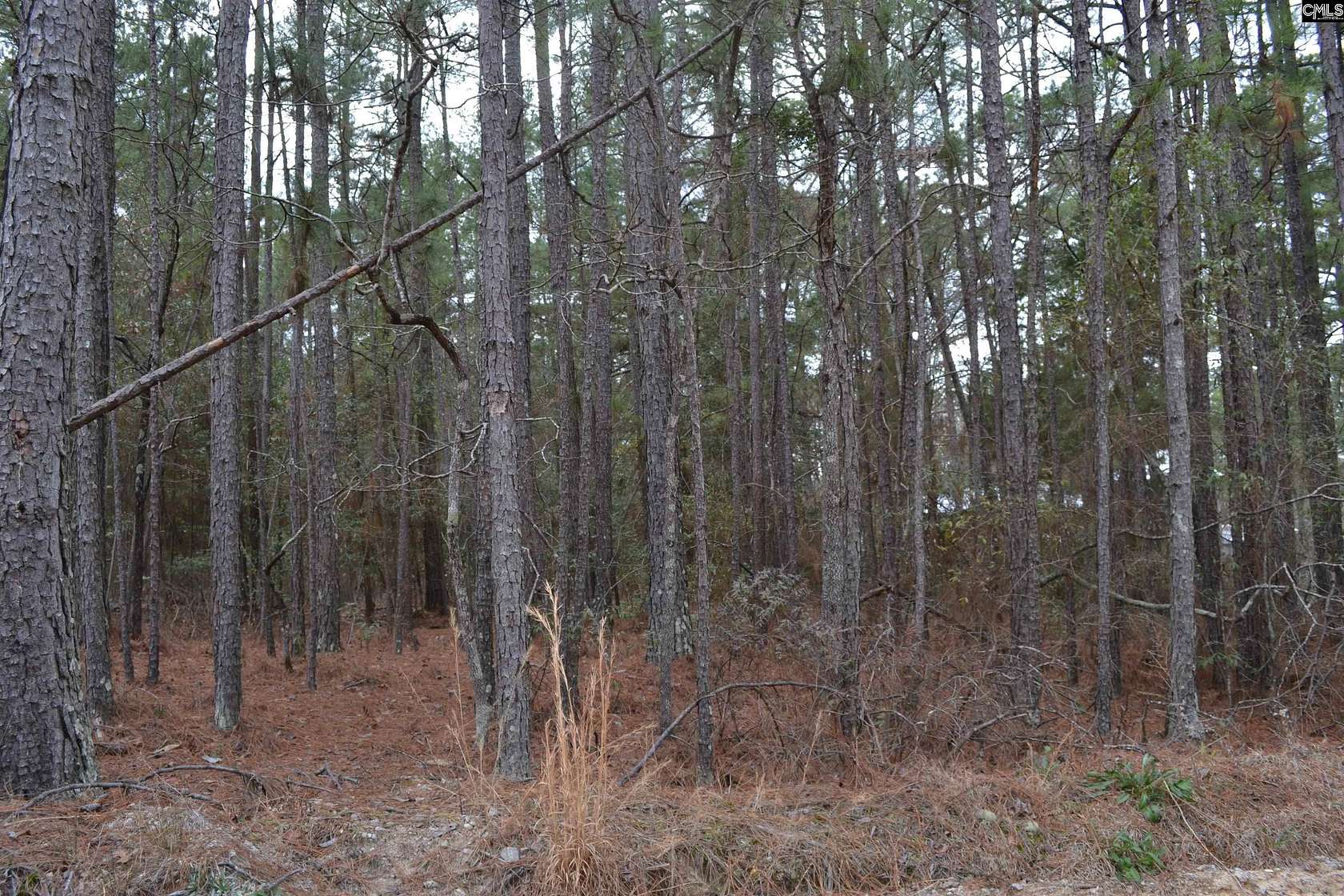 2 Acres of Residential Land for Sale in Lugoff, South Carolina