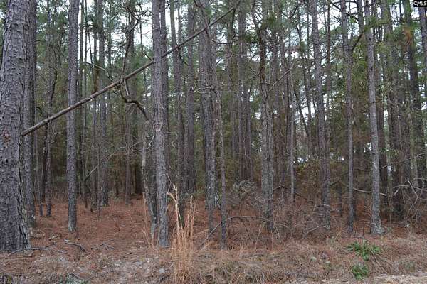 2 Acres of Residential Land for Sale in Lugoff, South Carolina
