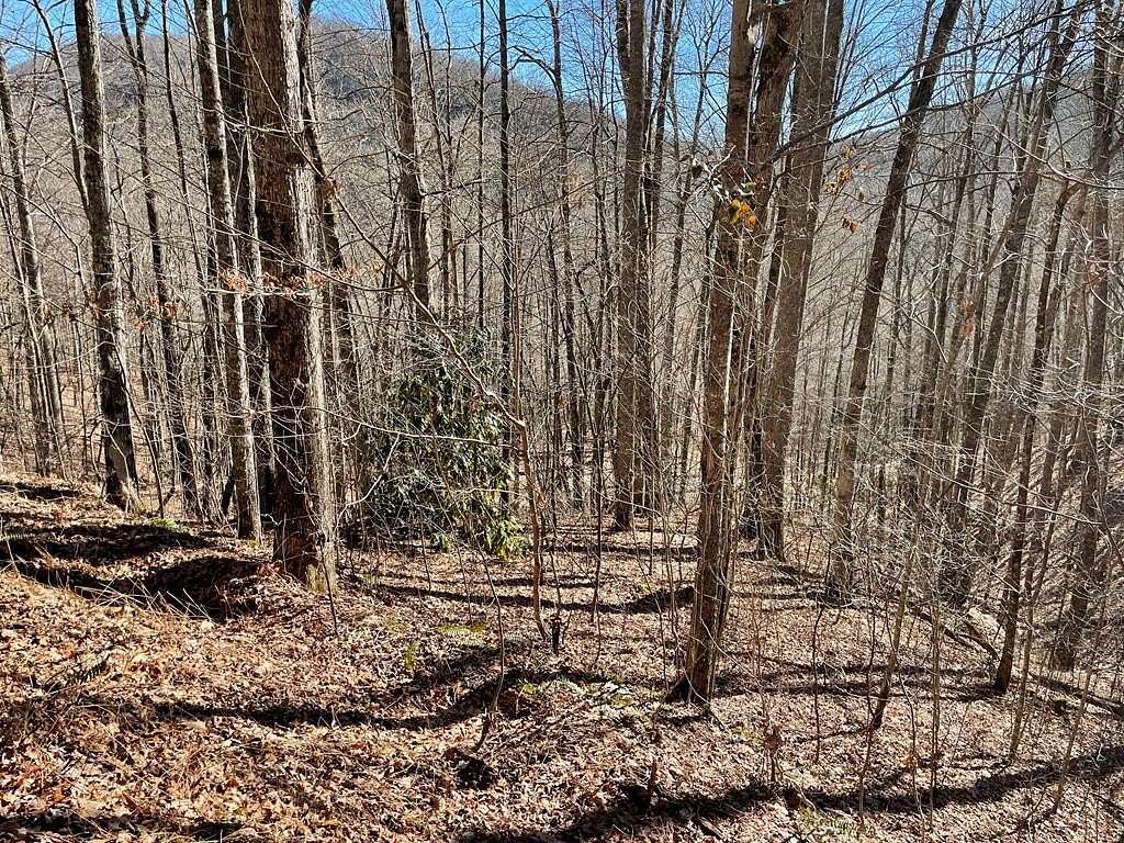 5.72 Acres of Residential Land for Sale in Whittier, North Carolina