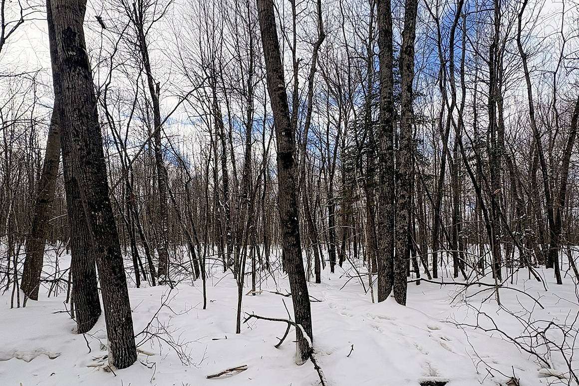 1.85 Acres of Land for Sale in Winter, Wisconsin