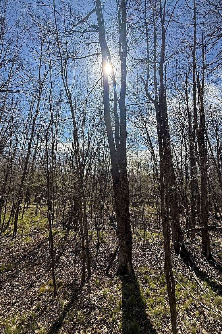 1.85 Acres of Land for Sale in Winter, Wisconsin