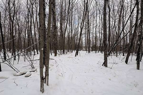 1.85 Acres of Land for Sale in Winter, Wisconsin