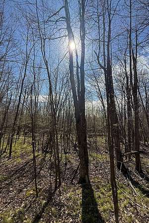 1.85 Acres of Land for Sale in Winter, Wisconsin