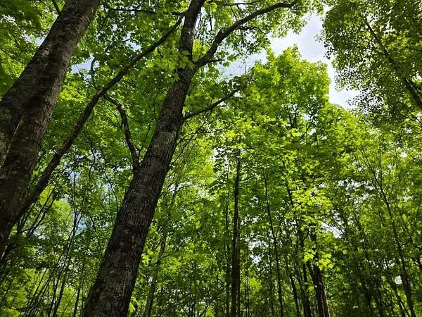 1.85 Acres of Land for Sale in Winter, Wisconsin