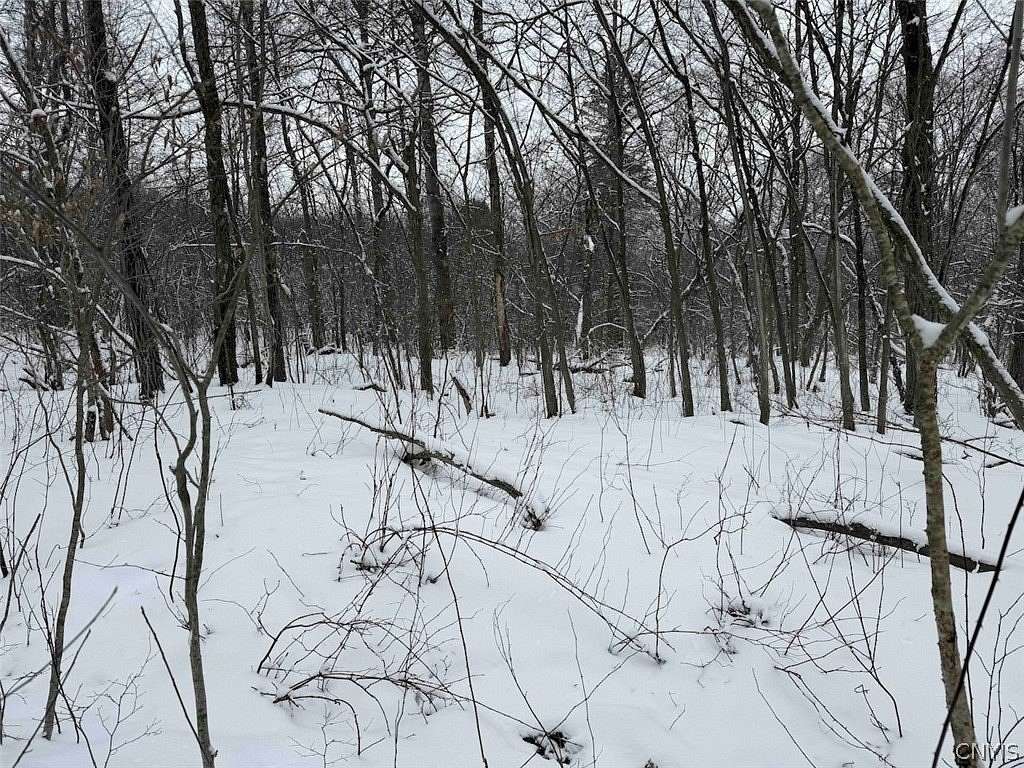5 Acres of Land for Sale in Franklinville, New York