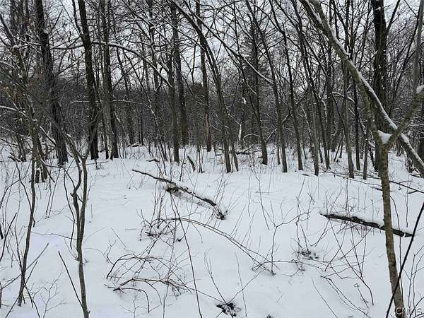5 Acres of Land for Sale in Franklinville, New York