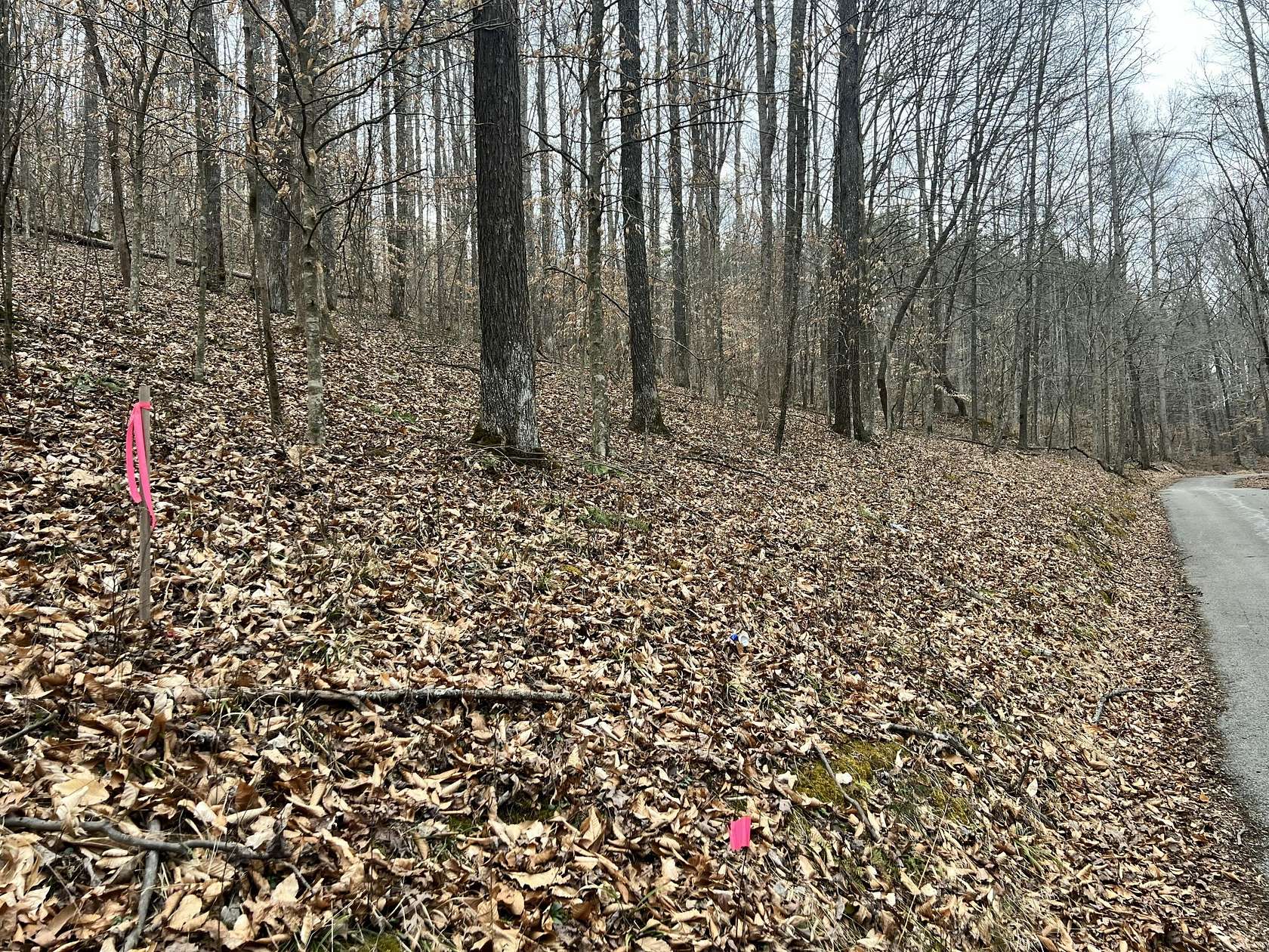 12.4 Acres of Land for Sale in Somerset, Kentucky