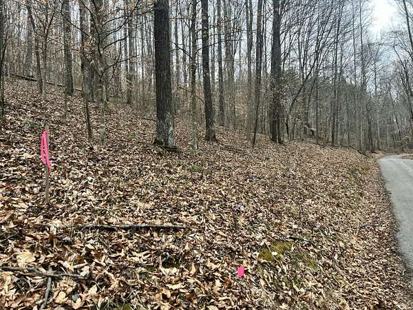 12.4 Acres of Land for Sale in Somerset, Kentucky