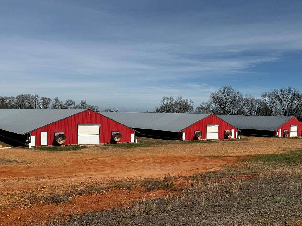 30 Acres of Agricultural Land for Sale in Banks, Alabama