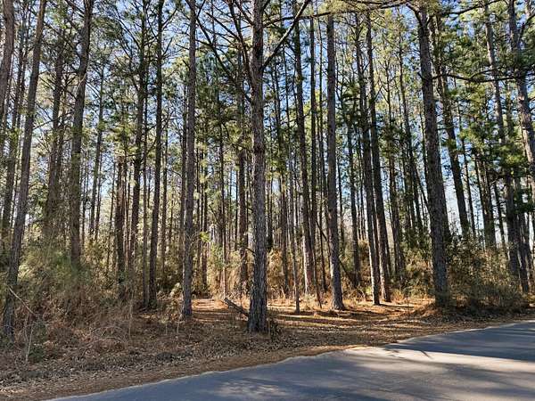 10 Acres of Residential Land for Sale in Sumrall, Mississippi