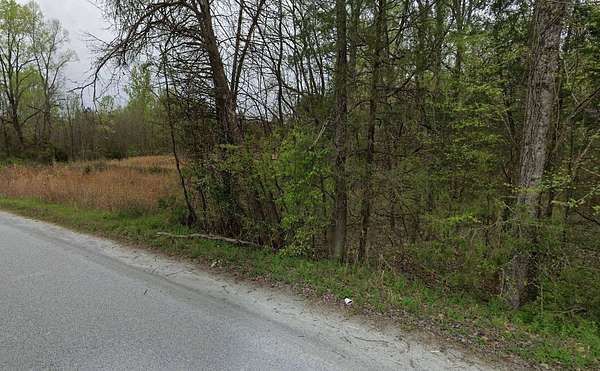 17.7 Acres of Land for Sale in Blacksburg, South Carolina