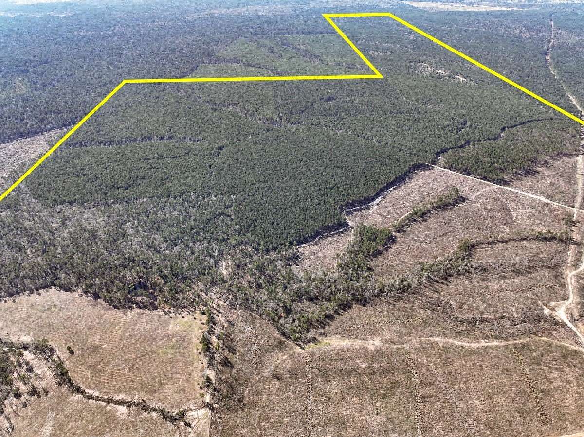 564 Acres of Recreational Land for Sale in Huntsville, Texas