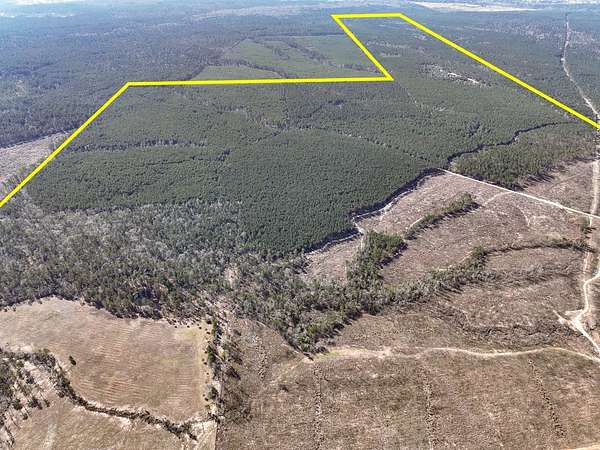 564 Acres of Recreational Land for Sale in Huntsville, Texas