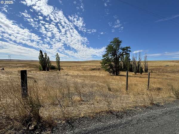 160 Acres of Land for Sale in Centerville, Washington
