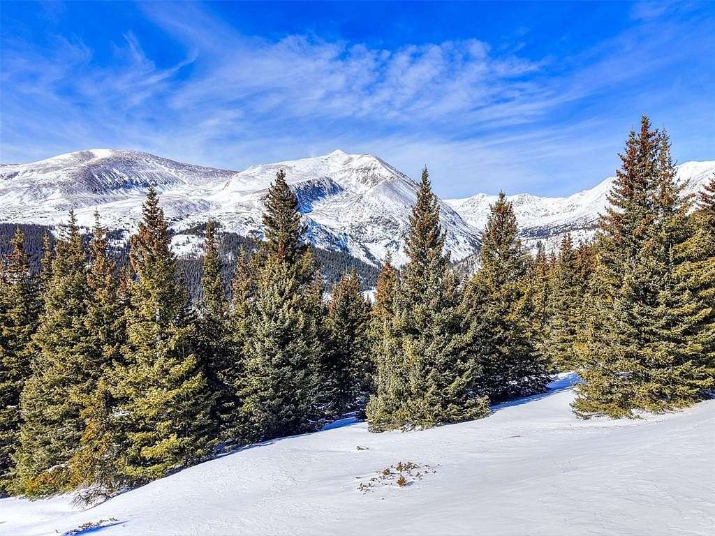 6 Acres of Residential Land for Sale in Alma, Colorado