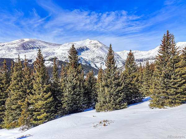 6 Acres of Residential Land for Sale in Alma, Colorado