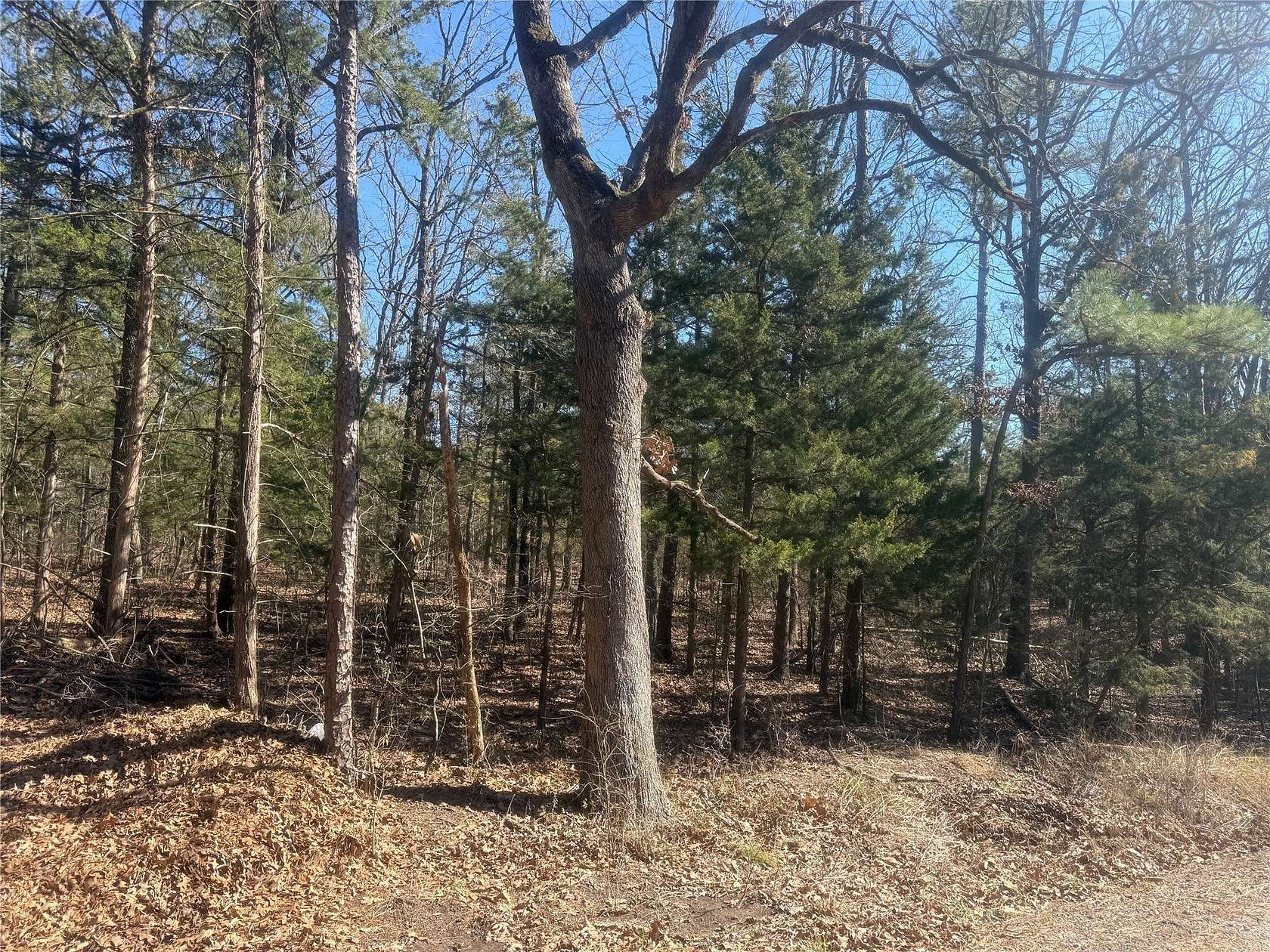 2.12 Acres of Residential Land for Sale in Powderly, Texas