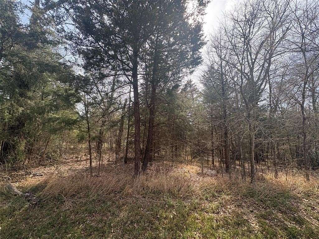 0.12 Acres of Land for Sale in Trinidad, Texas