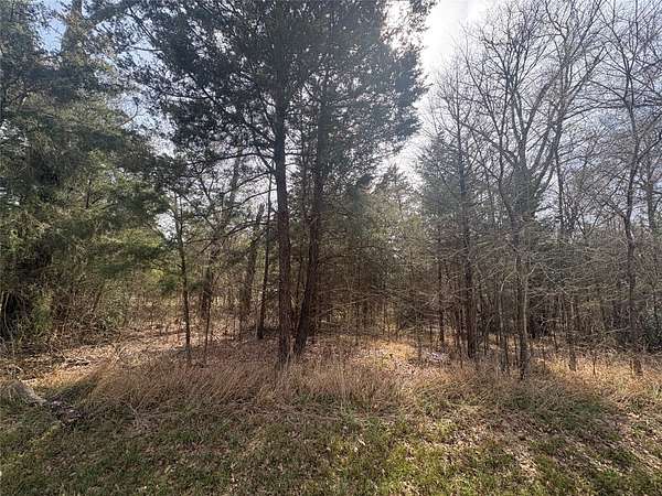 0.12 Acres of Residential Land for Sale in Trinidad, Texas