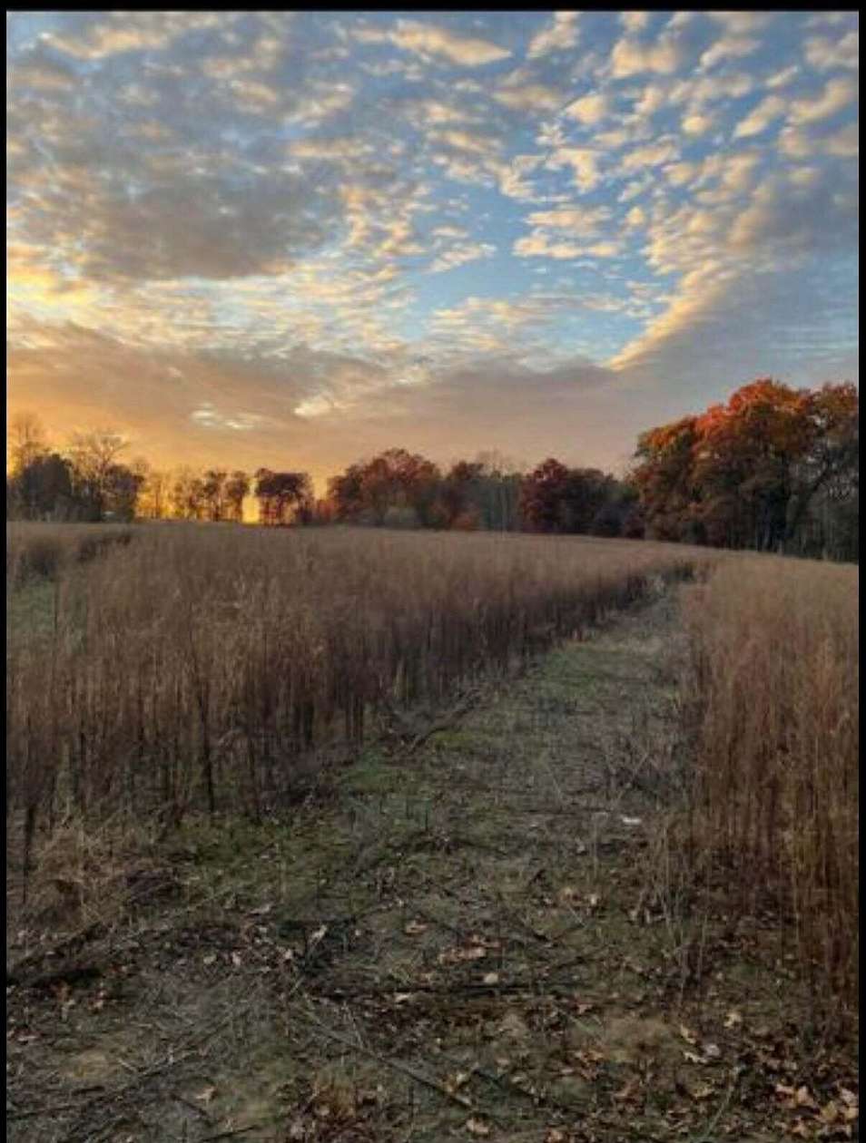 5.2 Acres of Land for Sale in Springport, Michigan