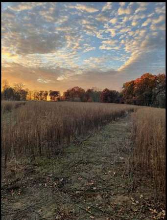 5.2 Acres of Land for Sale in Springport, Michigan