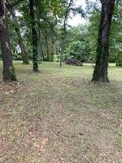 0.44 Acres of Land for Sale in Tool, Texas
