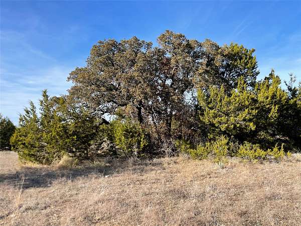 69.1 Acres of Land for Sale in Hamilton, Texas