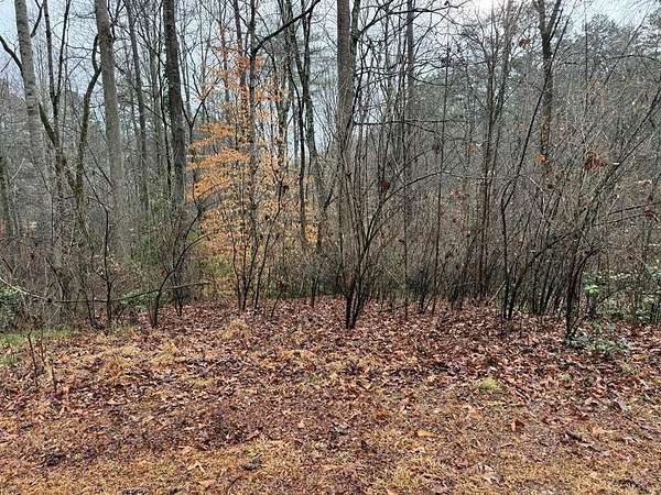 Land for Sale in Murphy, North Carolina