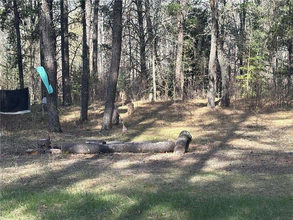 65 Acres of Land for Sale in Park Rapids, Minnesota