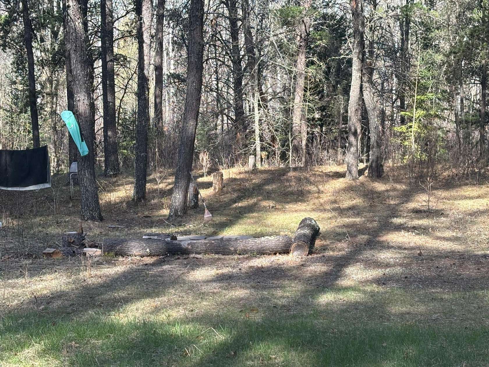 65 Acres of Land for Sale in Park Rapids, Minnesota