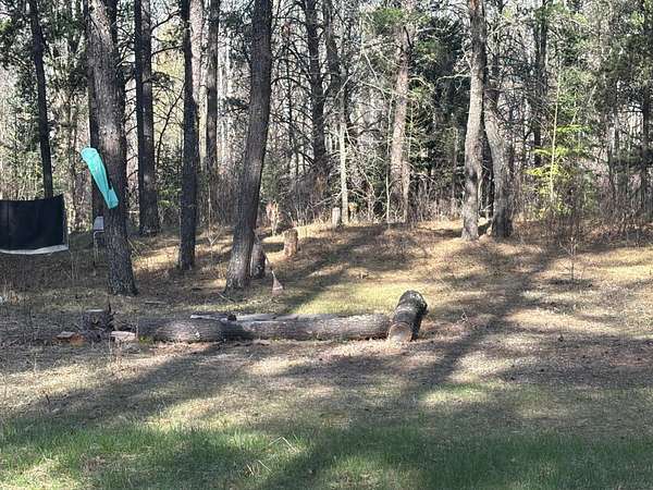 65 Acres of Land for Sale in Park Rapids, Minnesota