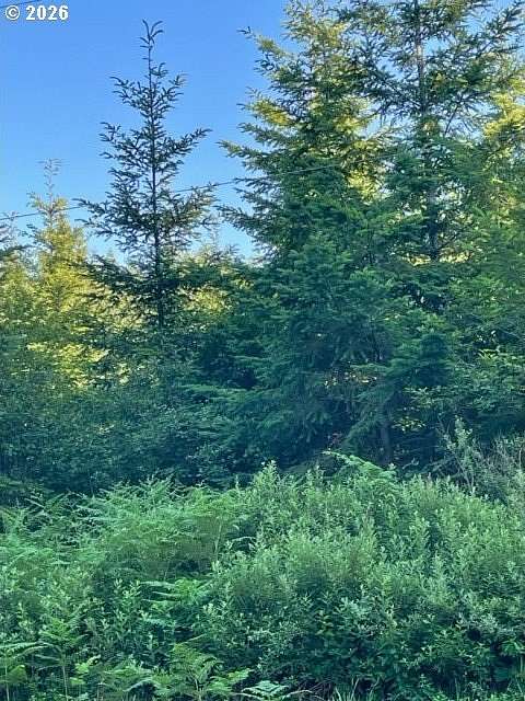 79.8 Acres of Land for Sale in Sandy, Oregon