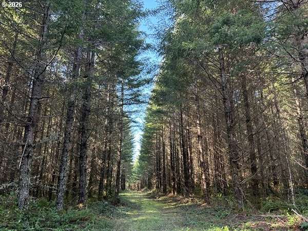 79.8 Acres of Land for Sale in Sandy, Oregon