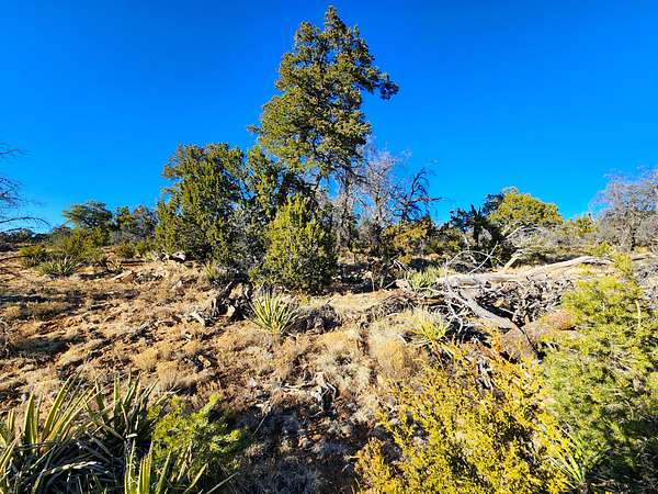 5 Acres of Land for Sale in Ramah, New Mexico
