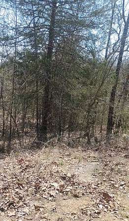 0.45 Acres of Residential Land for Sale in Cherokee Village, Arkansas