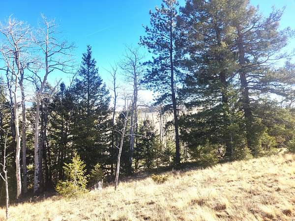21.6 Acres of Recreational & Residential Land for Sale in Hartsel, Colorado