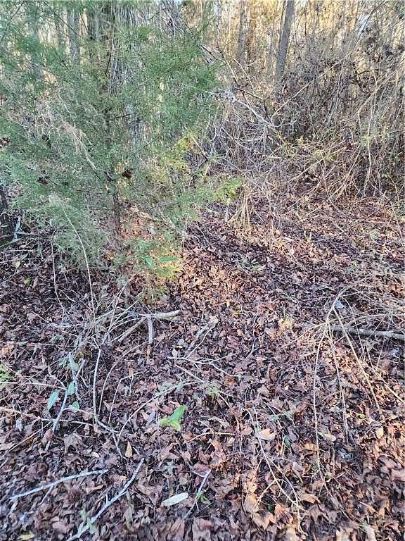 2.5 Acres of Land for Sale in Opelika, Alabama