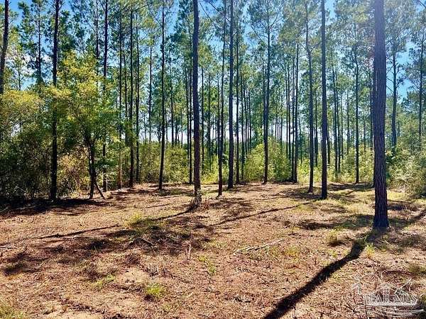 2 Acres of Residential Land for Sale in Jay, Florida