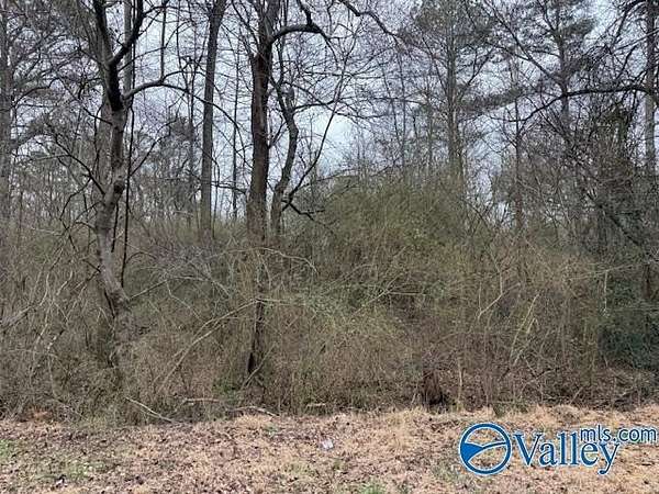14 Acres of Land for Sale in Fort Payne, Alabama