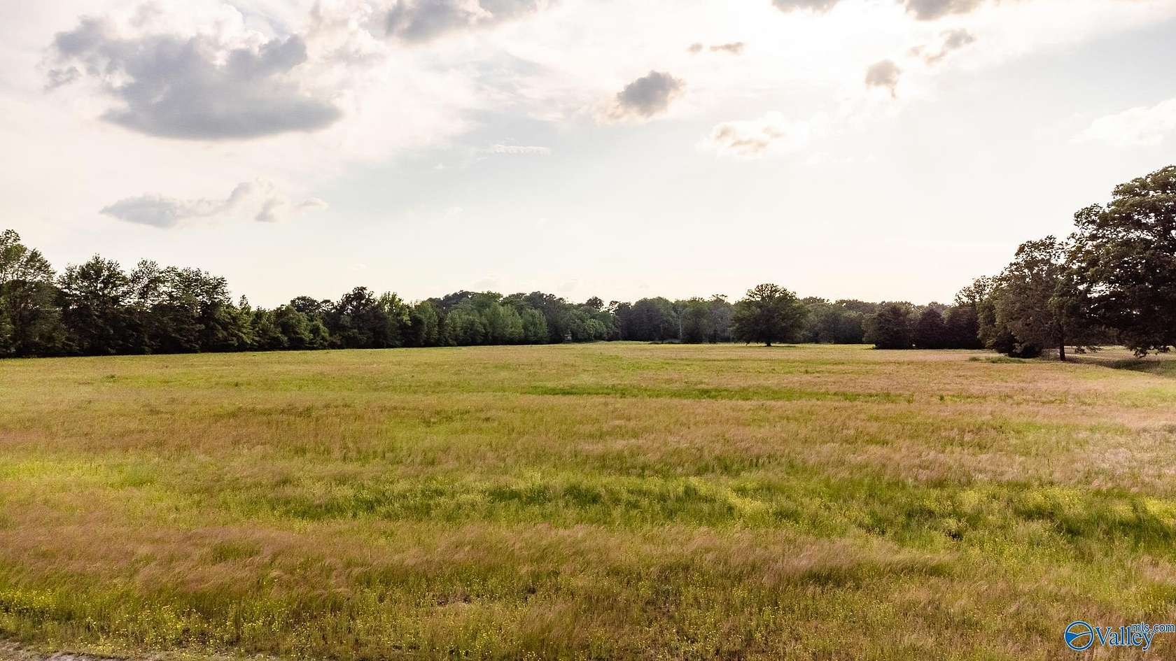 83.4 Acres of Land for Sale in Madison, Alabama