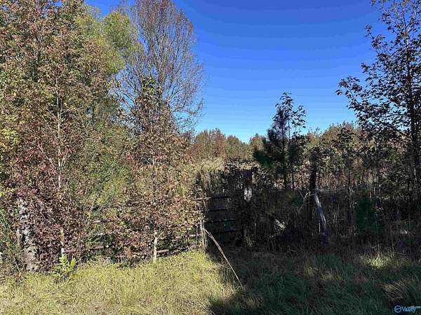 22 Acres of Recreational & Residential Land for Sale in Haleyville, Alabama
