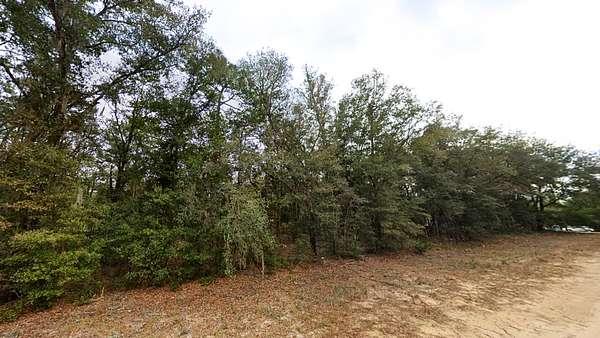 0.22 Acres of Residential Land for Sale in Interlachen, Florida