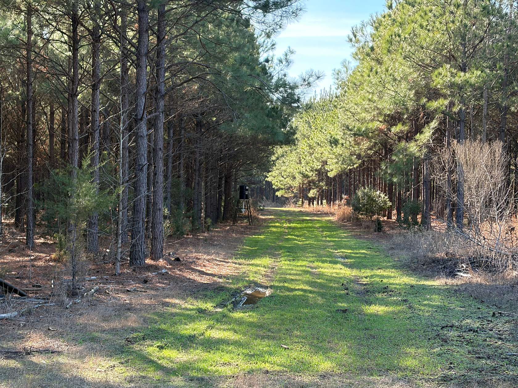 123 Acres of Land for Sale in Queen City, Texas