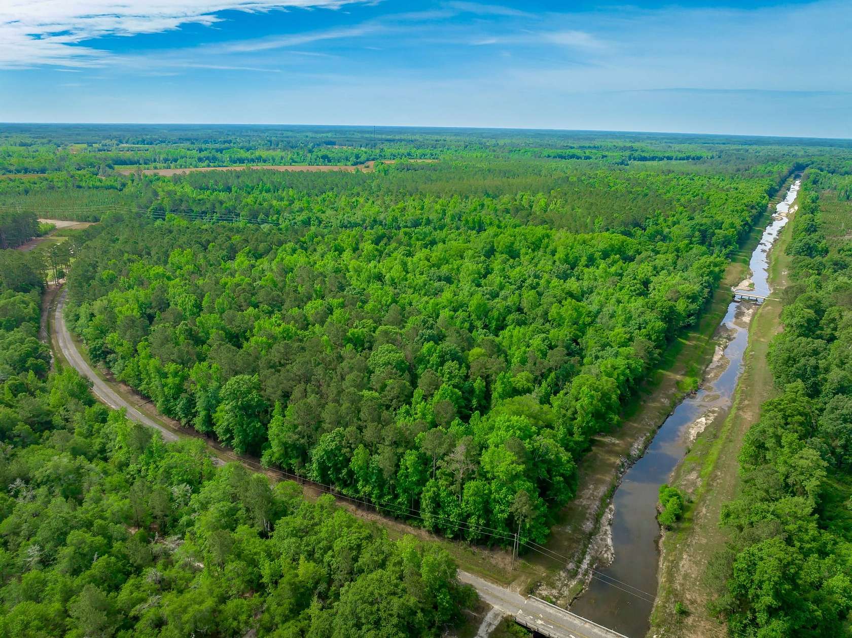 66 Acres of Land for Sale in Nichols, South Carolina