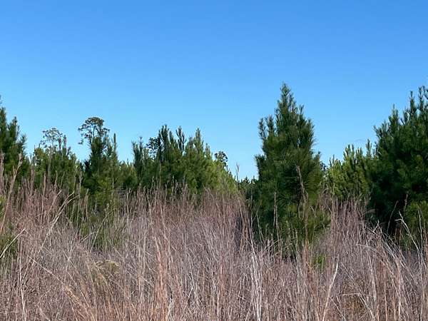 16.4 Acres of Recreational & Residential Land for Sale in Waycross, Georgia
