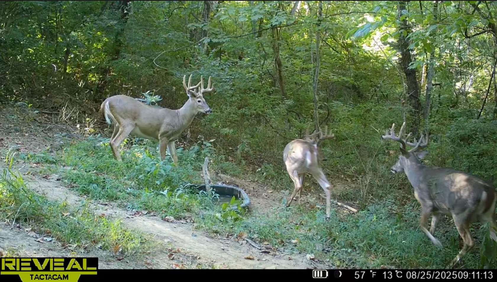 92 Acres of Land with Home for Sale in Aberdeen, Ohio