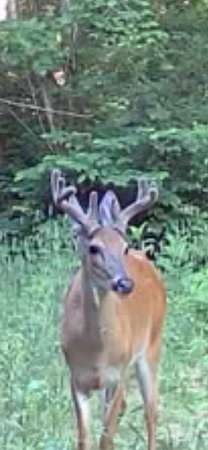92 Acres of Land with Home for Sale in Aberdeen, Ohio