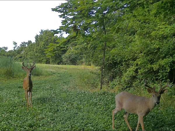 92 Acres of Land with Home for Sale in Aberdeen, Ohio