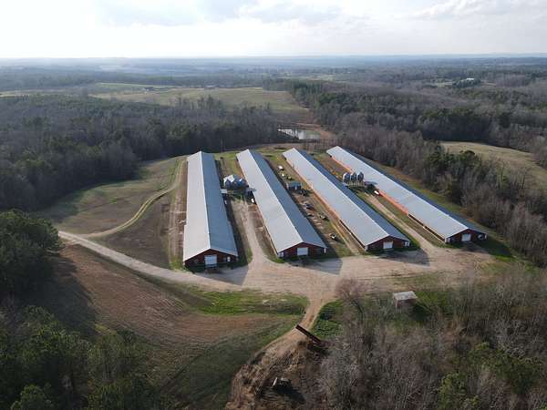 34 Acres of Agricultural Land for Sale in Woodland, Alabama